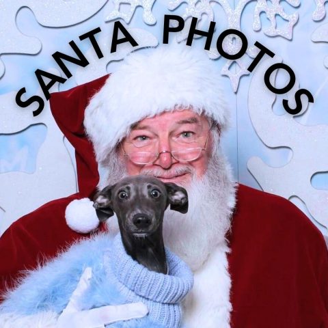 Santa Photos